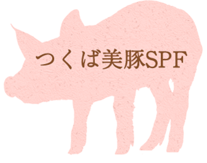SPF豚を、適度な運動と穀類による飼料で飼育した豚