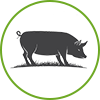 地元産の銘柄豚