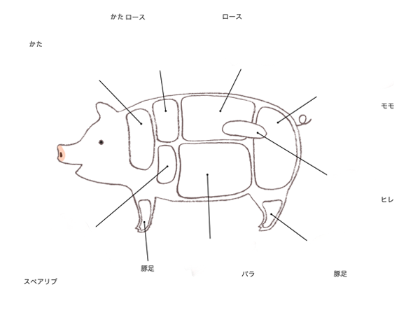 ポイント見出しテキスト